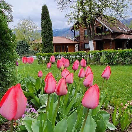 Отель Casa Amalia Tocile -Sadu Экстерьер фото