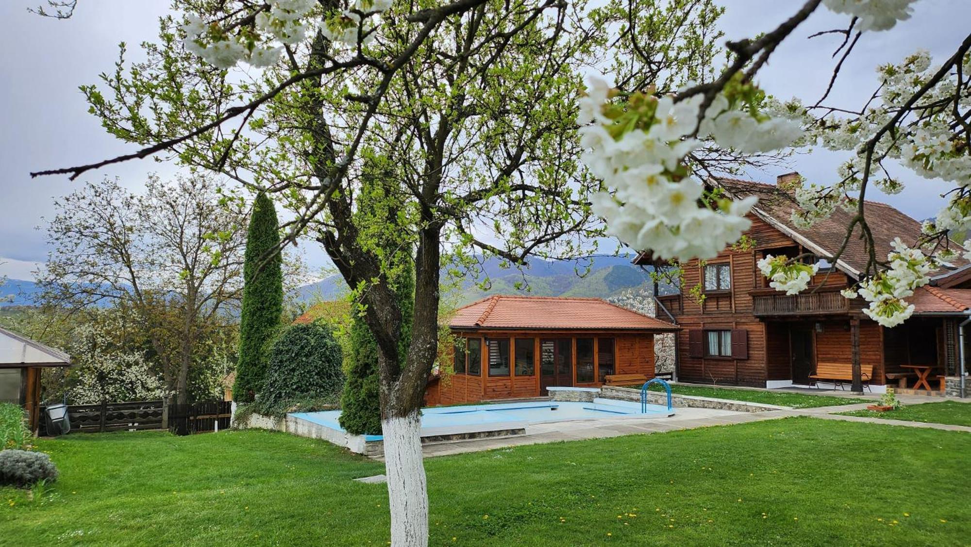 Отель Casa Amalia Tocile -Sadu Экстерьер фото