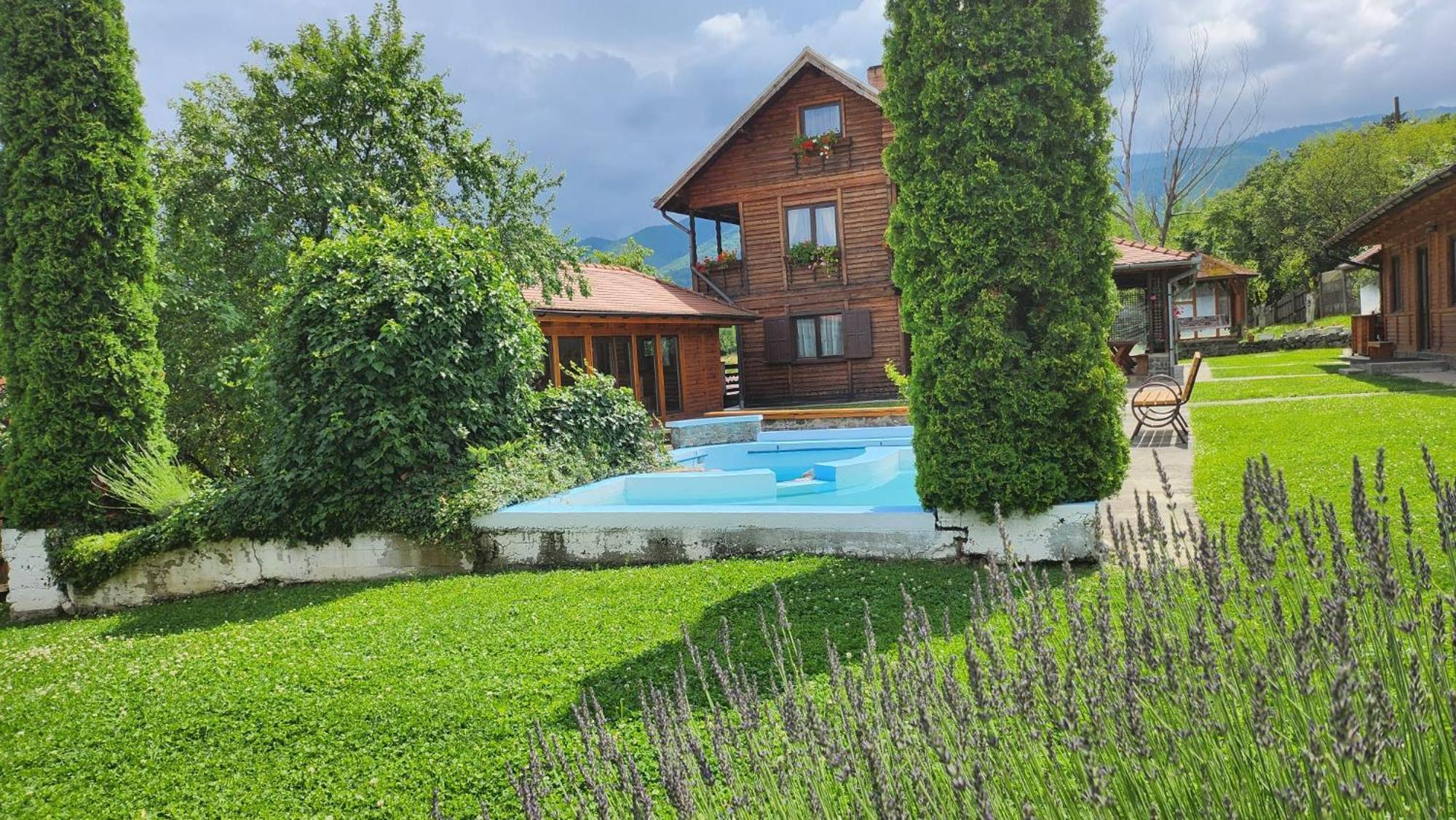 Отель Casa Amalia Tocile -Sadu Экстерьер фото